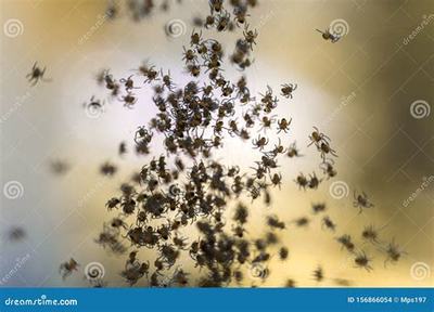 福安热血封神H5_刀剑萌侠(0.1折版) 助力创业者腾飞的良机市场营销策划